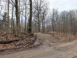 V/L Weber Road - Photo 7