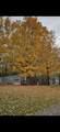10281 Walnut Drive - Photo 16