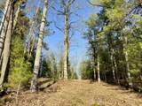 V/L Lot 5 Shingle Mill Way Way - Photo 16