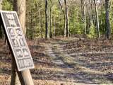 V/L Lot 5 Shingle Mill Way Way - Photo 18