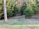 V/L Lot 5 Shingle Mill Way Way - Photo 19
