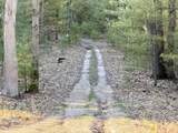 V/L Lot 5 Shingle Mill Way Way - Photo 20