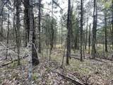 V/L Benson Rd / Frd 5259 - Photo 6