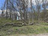 V/L Anderson Road - Photo 4