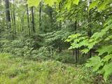 8207 Hunters Ridge Drive - Photo 6