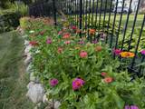 411 Higby Street - Photo 59