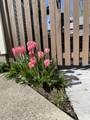246 Alten Avenue - Photo 29