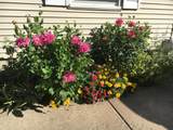 246 Alten Avenue - Photo 31