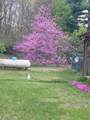 25028 Jefferson Center Street - Photo 61