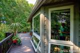 2302 Timberlee Drive - Photo 62
