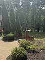 13323 Twin Creek Lane - Photo 8