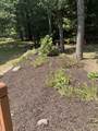 13323 Twin Creek Lane - Photo 9