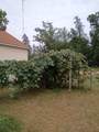 3985 Peacock Trail - Photo 34