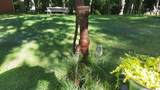 8424 3rd Street - Photo 89