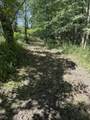 1658 66th Street - Photo 41