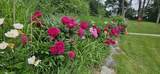 3715 Beckley Road - Photo 47