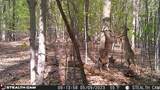 3750 Hillman Road - Photo 1