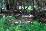 1542 Campbell Road - Photo 34