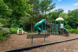 15250 Hofma Drive - Photo 78
