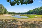 11023 Roby Lake Drive - Photo 46