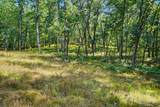 11023 Roby Lake Drive - Photo 55