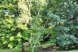 899 8th Street - Photo 62