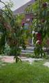 6878 Abington Avenue - Photo 16