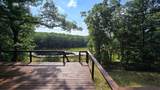 7616 Automobile Road - Photo 60