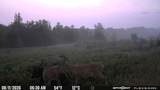 145 35 Road - Photo 57