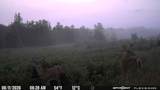 145 35 Road - Photo 60