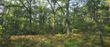 9676 Campbell Road - Photo 39