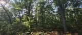 9676 Campbell Road - Photo 40