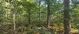 9676 Campbell Road - Photo 41