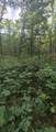 9676 Campbell Road - Photo 43