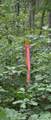 9676 Campbell Road - Photo 44