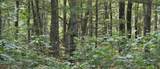 9676 Campbell Road - Photo 46