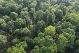 9676 Campbell Road - Photo 48
