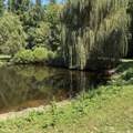 72670 Co Rd 376 - Photo 33