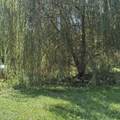 72670 Co Rd 376 - Photo 40