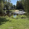 72670 Co Rd 376 - Photo 42
