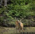 685 Brooks Road - Photo 44