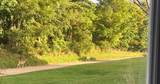 14910 Boyle Lake Road - Photo 32