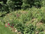 10920 Foreman Street - Photo 37