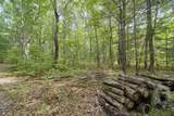 17349 Hoxeyville Road - Photo 65