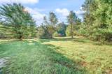 10688 Sherman Road - Photo 48