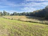 53901 Finch Road - Photo 7