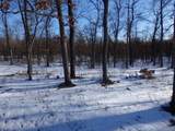 40 Acres M-55 - Photo 3