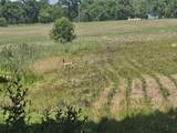 0 Sylvan 57 Acres - Photo 10