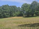 0 Sylvan 57 Acres - Photo 11