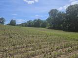 0 Sylvan 57 Acres - Photo 12